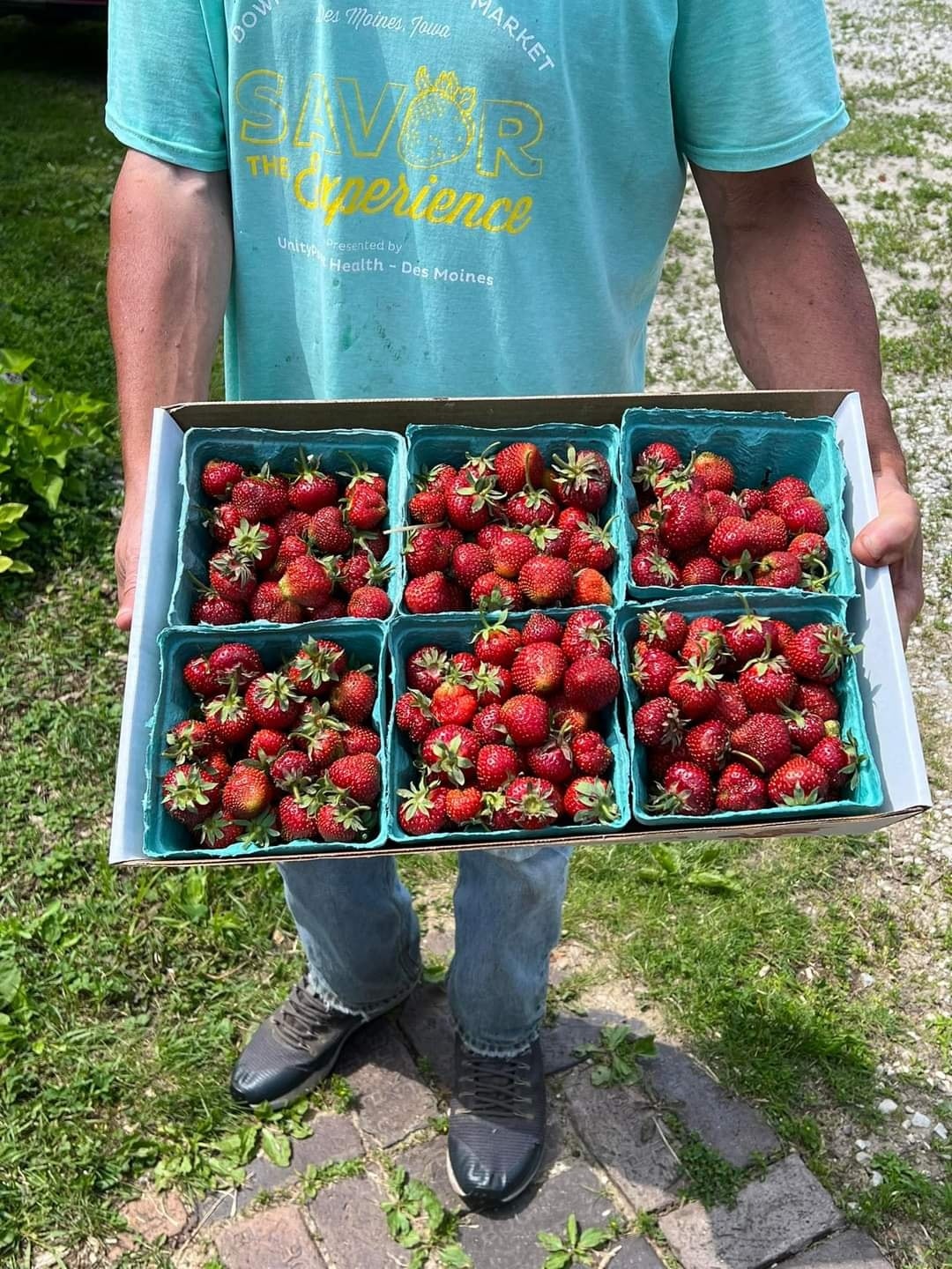 Strawberry Update